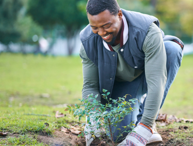 One Tree Planted Picture